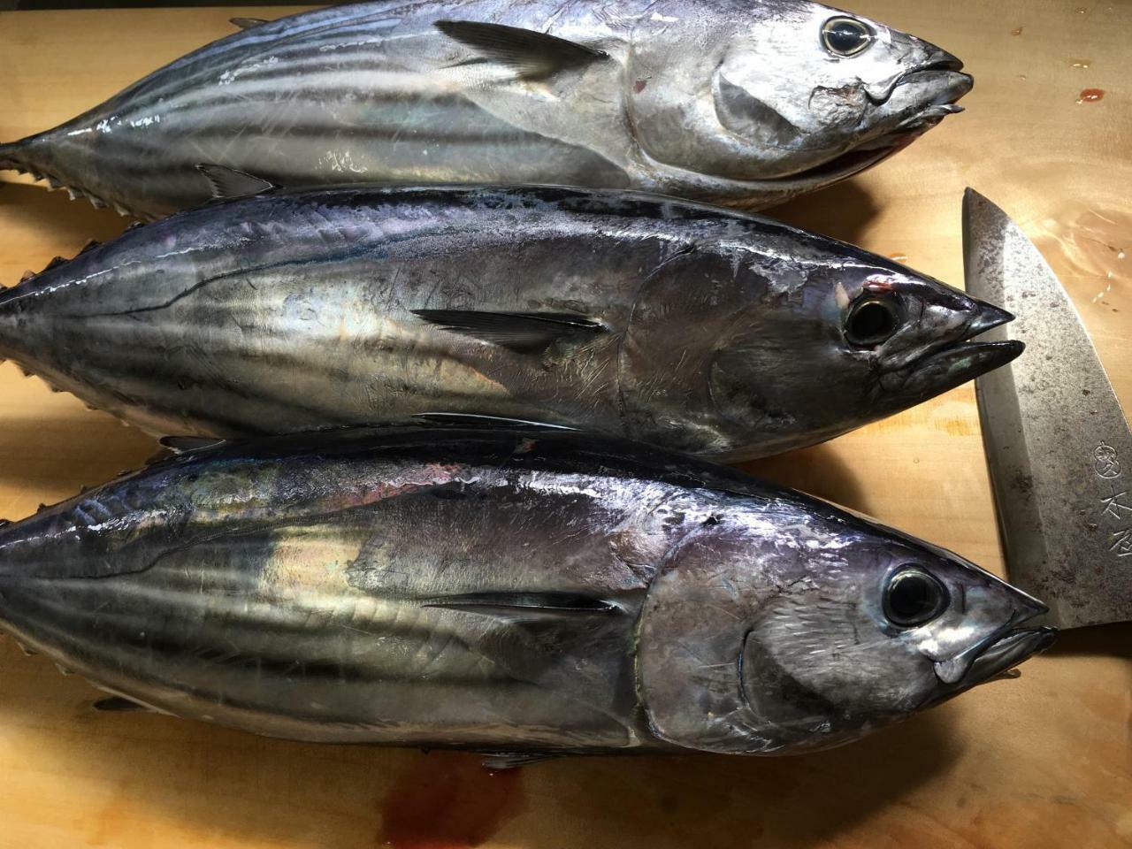 Kokumin Shukusha Sun Marina 호텔 하치조 외부 사진